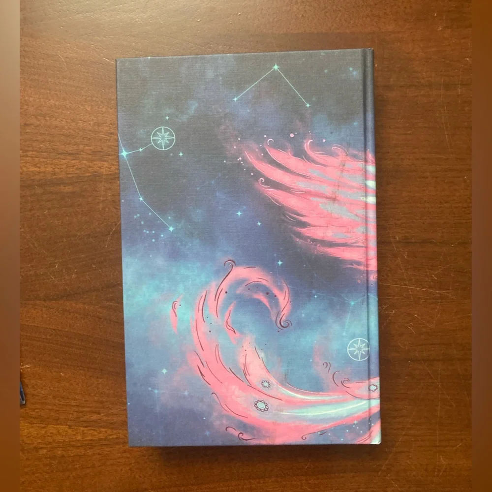 The Starlight Heir Book by Amalie Howard Fairyloot Edition - Picture 7 of 11